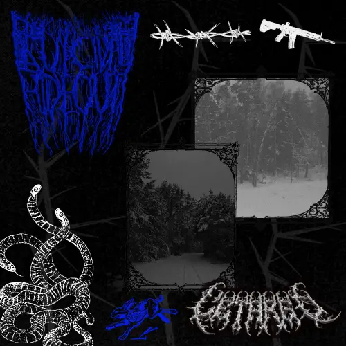 Suicidal Hideout : Letargo